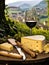 Cheese board and red wine against the backdrop of village. AI