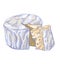 Cheese brie or camembert, round creamy soft cheese with cut slice, french food, close-up, isolated, hand drawn vector