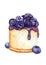 cheese cake with bluberry