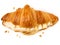 Cheese croissant filled with edam and brie slices isolated on white from above. Crumbs