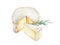 Cheese with cutted piece watercolor eimage. Creamy cutted brie or camembert cheese with herb illustration. Delicious
