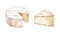 Cheese with cutted piece watercolor eimage. Creamy cutted brie or camembert cheese illustration. Delicious food image