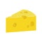 Cheese flat icon