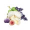 Cheese with fruit arrangement watercolor image. Tasty dessert with creamy camambert or brie mold cheese, grapes and fig