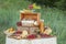 Cheese and fruits on a beautifully vintage decorated table