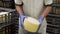 Cheese maker holding cheese wheel at the cheese storage during the aging process.