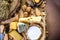 Cheese plate. Assortment of cheese with walnuts on white wood serving board. Appetizer theme. Flat lay. copy text