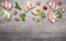 Cheese sandwiches with tomatoes on a branch and herbs cherry tomatoes and salmon on wooden rustic background top view border ,pla