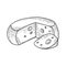 Cheese sketch engraving vector illustration