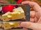 Cheese on smartphone screen. Vegetarian still life.