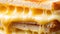 Cheese toasted double sandwich close up.