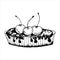 Cheesecake Pie With Cherries. Vector. black on a white background