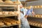 Cheesemaker checking aging process of goat cheese in maturing chamber