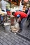 Cheesemaker prepares his wares for sale at the outdoor food market in Istanbul