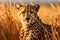 Cheetah (Acinonyx jubatus) stands in long grass in savannah. Generative AI