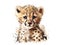 Cheetah baby. Generative AI