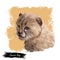 Cheetah baby tabby cat from North Africa isolated digital art illustration. Southeast African little cheetah hand drawn portrait.