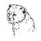 Cheetah baby tabby cat t-shirt print, isolated monochrome design vector, hand drawn illustration. Little cheetah portrait.