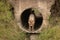 Cheetah cub stands in pipe staring down