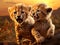 Cheetah Cubs