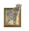 Cheetah in frame with 3d effect