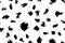 Cheetah fur white and black abstract simple seamless pattern