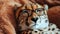 Cheetah with glasses, cool leopard with sunglasses. AI Generative