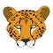 Cheetah head mask on white background