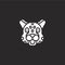 cheetah icon. Filled cheetah icon for website design and mobile, app development. cheetah icon from filled animal avatars