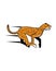 Cheetah logo , jaguar logo vector
