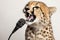 Cheetah With Microphone On White Background. Generative AI