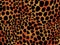 Cheetah print background