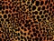 Cheetah print background