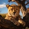 Cheetah relaxes on a tree in Serengeti National Park, Tanzania