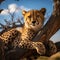 Cheetah relaxes on a tree in Serengeti National Park, Tanzania