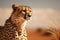 Cheetah roams expansive desert landscape, allowing for ample copy space