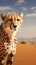 Cheetah roams expansive desert landscape, allowing for ample copy space