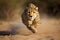 Cheetah running in the African savanna. Amazing African Wildlife. Generative Ai