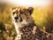 Cheetah sits in the grass. Made with Generative AI