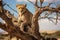 Cheetah sits on a tree in the savannah of Namibia, Cheetah on a tree in Serengeti National Park, Tanzania, AI Generated