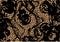 Cheetah skin background texture with black lace