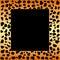 Cheetah spots frame