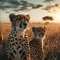 Cheetah standing in the savanna with setting sun shining.