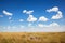 Cheetahs against a beautiful sky with clouds . Africa. Safari.