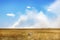 Cheetahs against a beautiful sky with clouds . Africa. Safari