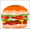 Cheez burger patty delicious fluffy great sweet tomato onion salad cucumbar pickle