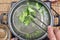 Chef boiling Broccoli in pan