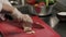 Chef chopping onion into half rings, close up