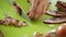 Chef chopping smoked bacon - closeup