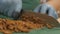 Chef cook chopping marinated mushrooms on small pieces on board in kitchen